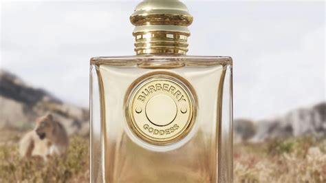 burberry dody mist profumo recensioni|We Tried Burberry Goddess Eau De Parfum & It's Not Your .